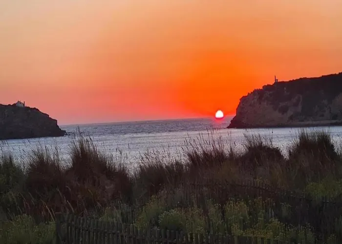 Sao Martinho Near 圣马蒂纽·杜·波特