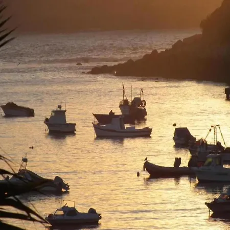 Sao Martinho Near Lejlighed